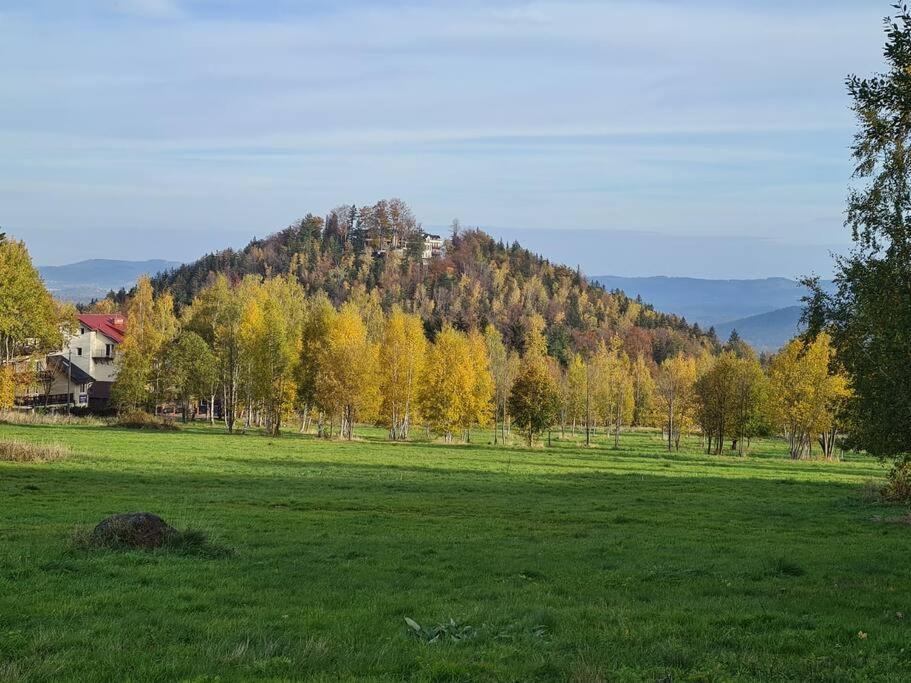 Rezydencja Green Hill - Ekskluzywny Dom W Karpaczu Exterior photo
