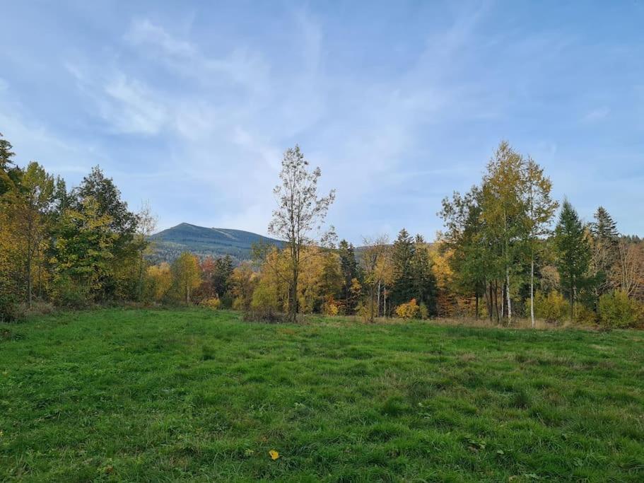 Rezydencja Green Hill - Ekskluzywny Dom W Karpaczu Exterior photo
